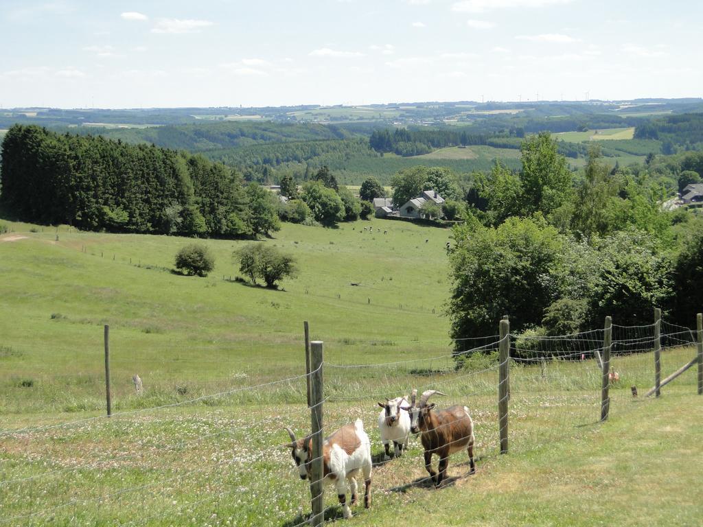 Holiday Home A Pas De Loup La Roche-en-Ardenne Room photo